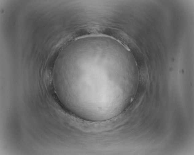 X0000071920043200607141346