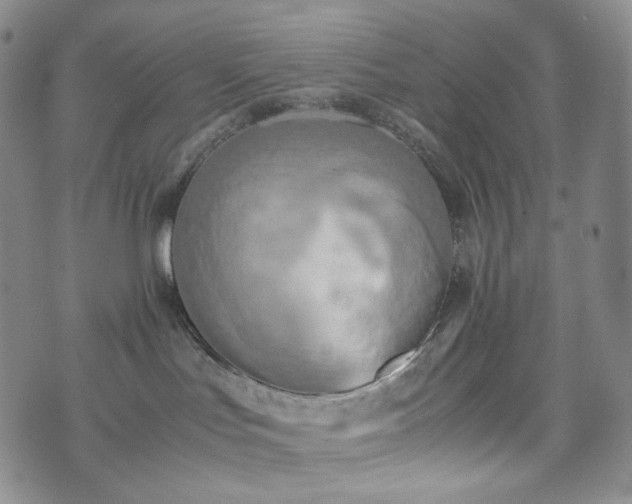 X0000071920047200607141346