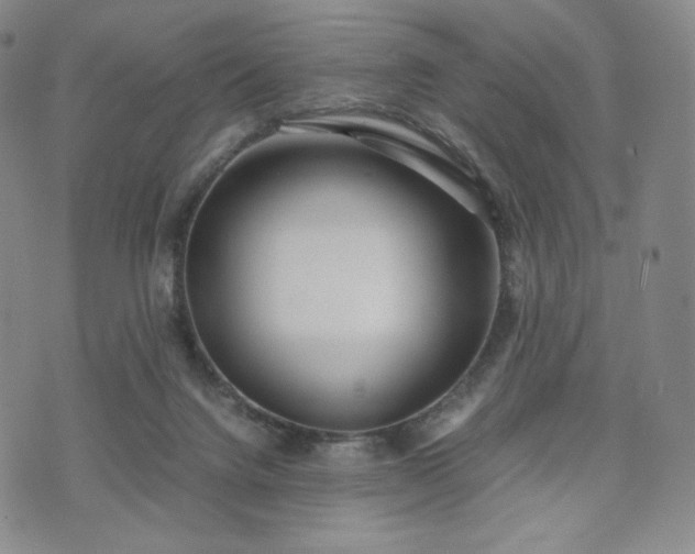 X0000071920072200607141346