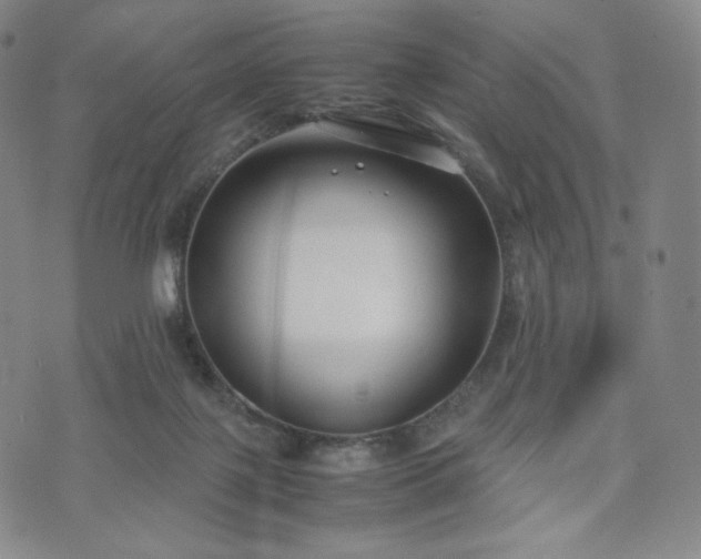 X0000071920075200607141346