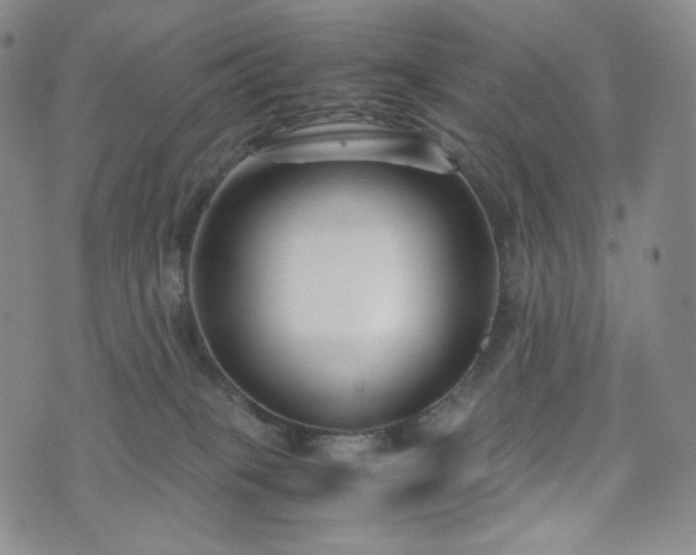 X0000071920085200607141346