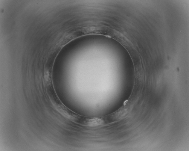 X0000071920087200607141346