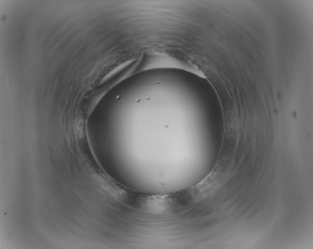 X0000071920090200607141346