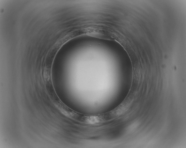 X0000071920091200607141346
