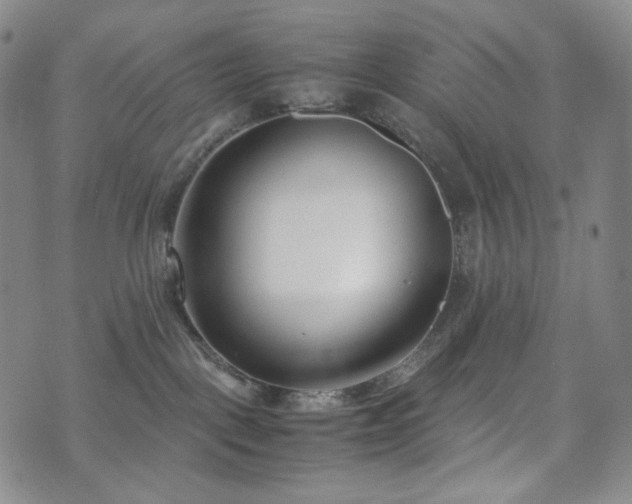 X0000071920093200607141346