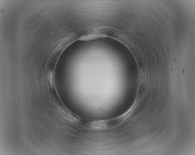 X0000071920094200607141346