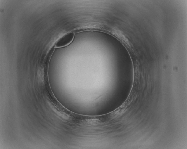 X0000071920108200607141345