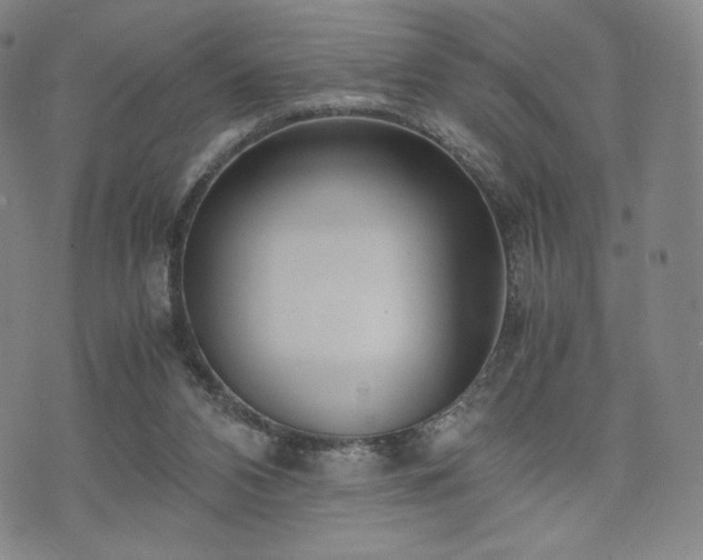 X0000071920112200607141345