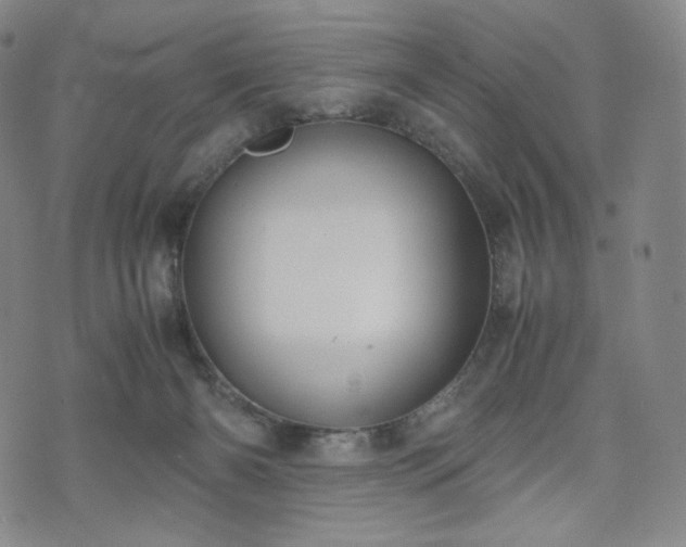 X0000071920126200607141345