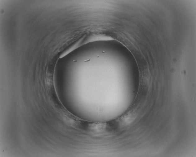 X0000071920135200607141345