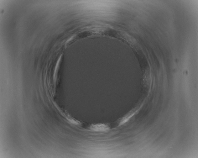 X0000071920137200607141345