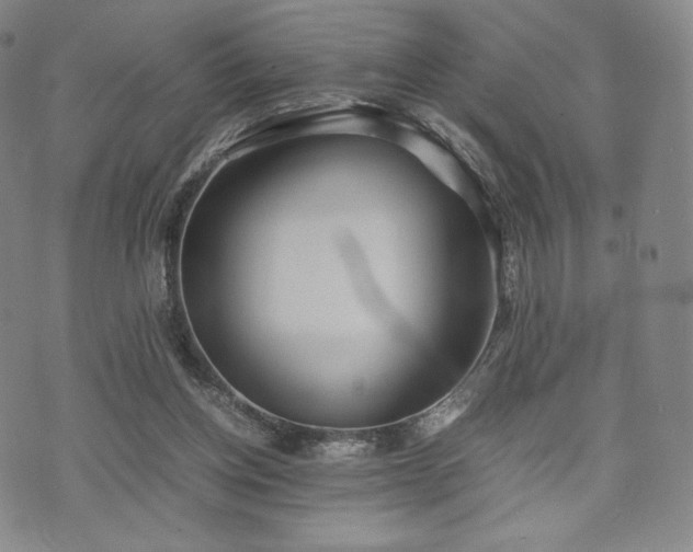 X0000071920158200607141344