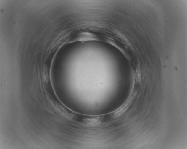 X0000071920170200607141344