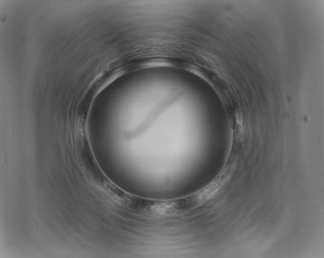 X0000071920172200607141344