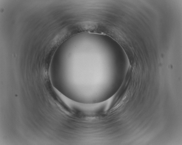 X0000071920176200607141344