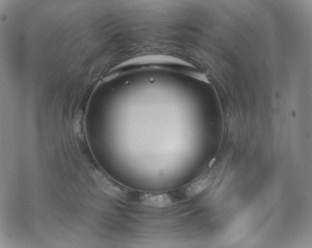 X0000071920185200607141344