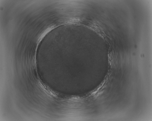 X0000071920196200607141344
