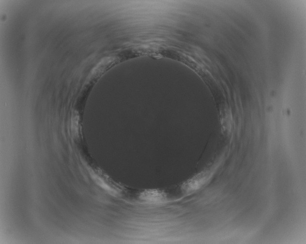 X0000071920231200607141343