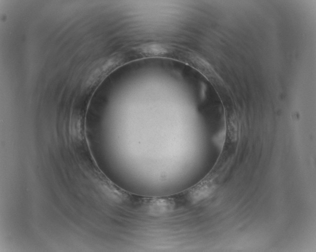 X0000071920330200607141341