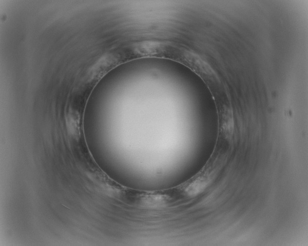 X0000071920332200607141341
