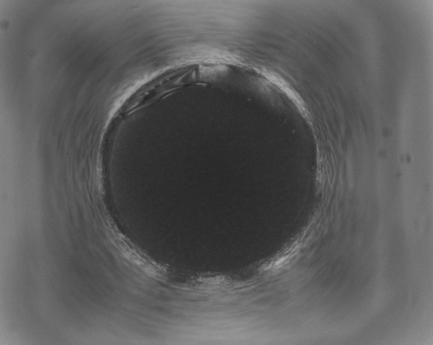 X0000071920391200607141340