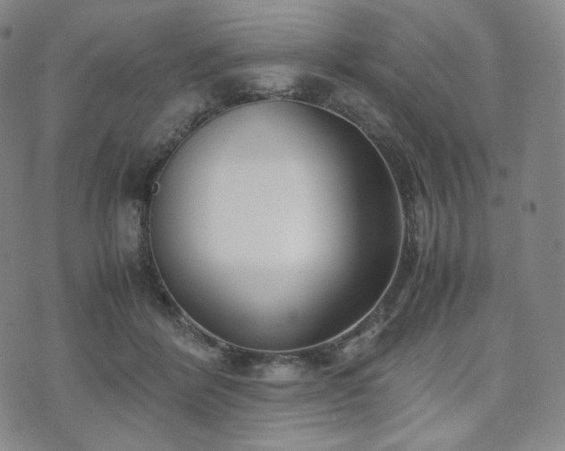 X0000071920412200607141340