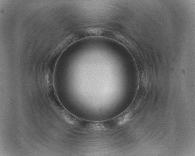 X0000071920424200607141340