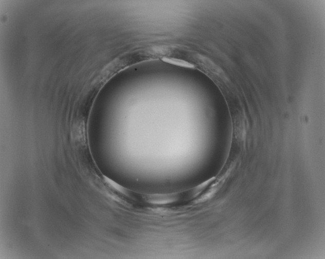X0000071920425200607141340