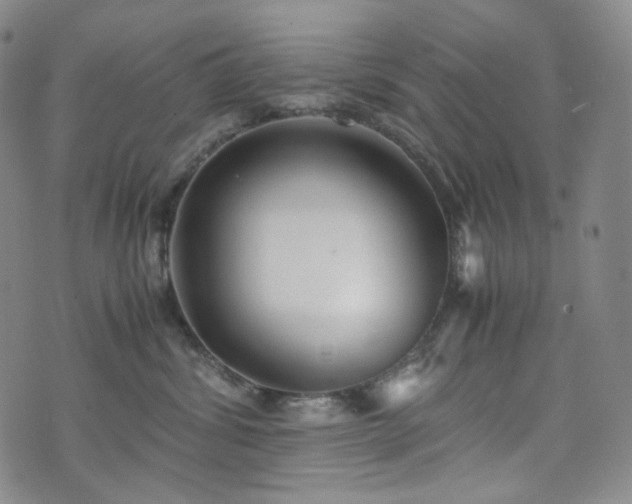 X0000071920428200607141340