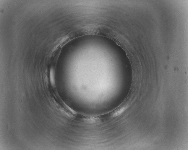 X0000071920432200607141340