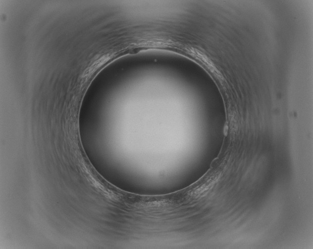 X0000071920433200607141339
