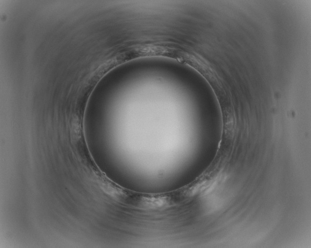 X0000071920469200607141340