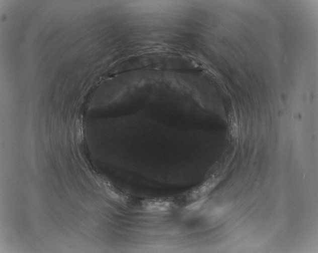 X0000071920471200607141340