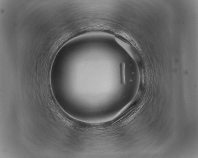 X0000071920481200607141339