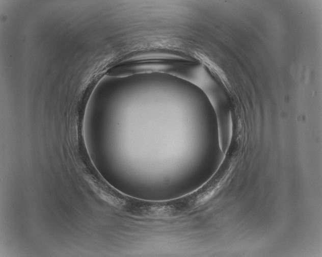 X0000071920493200607141339