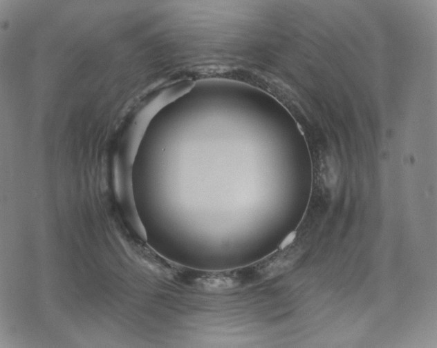 X0000071920512200607141338