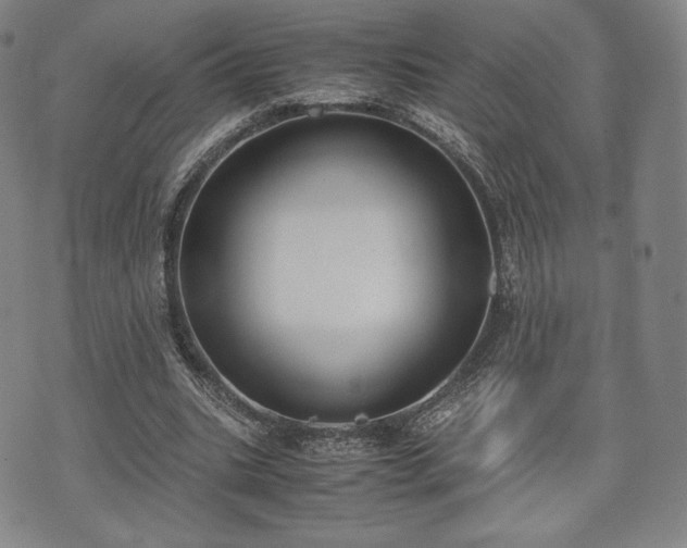 X0000071920535200607141337
