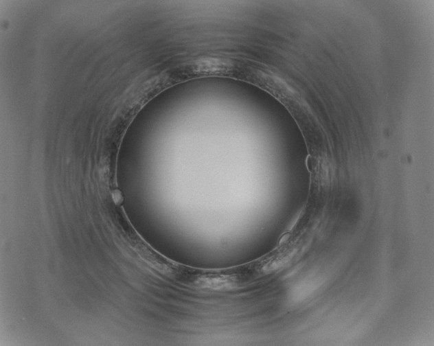 X0000071920557200607141338