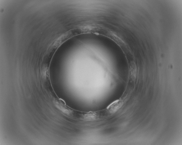 X0000071920574200607141338