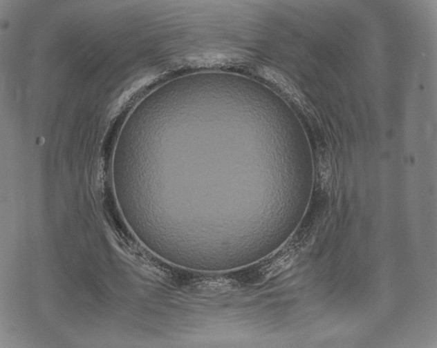 X0000071920583200607141337