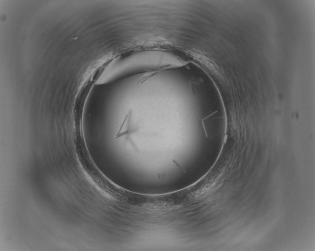 X0000071920630200607141336