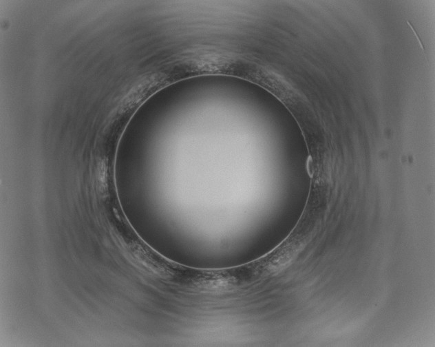 X0000071920646200607141336