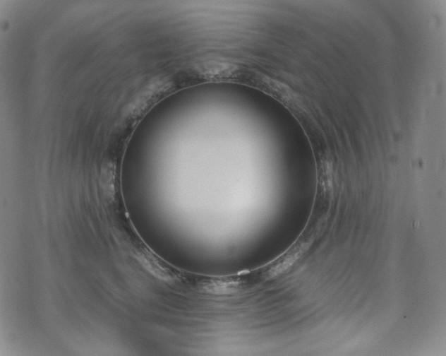 X0000071920664200607141336