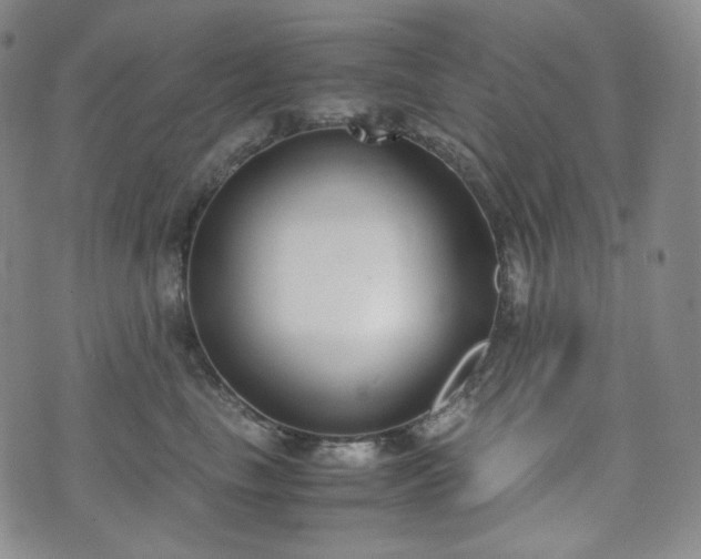 X0000071920665200607141336
