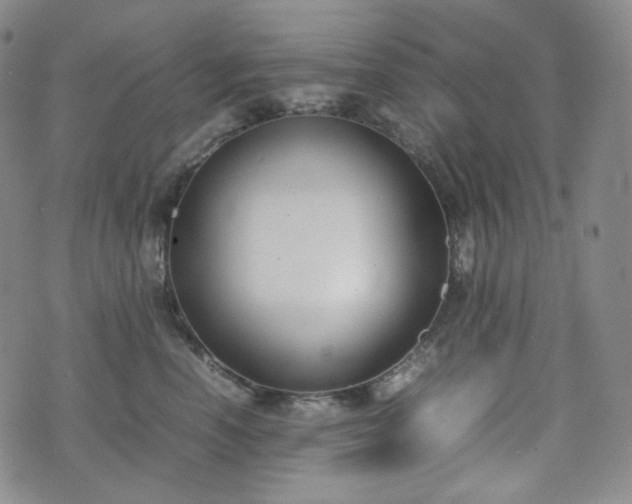X0000071920666200607141336