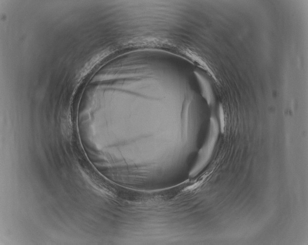 X0000071920674200607141336
