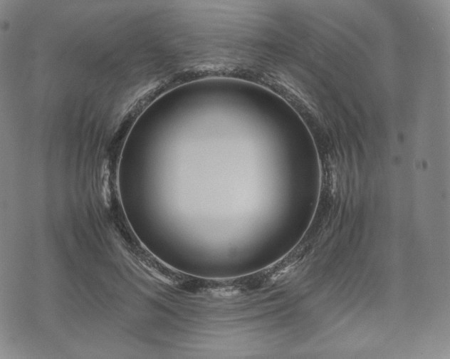 X0000071920692200607141335