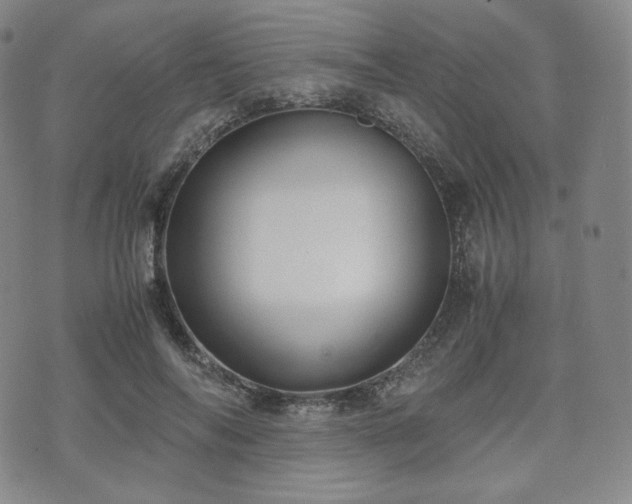 X0000071920694200607141335