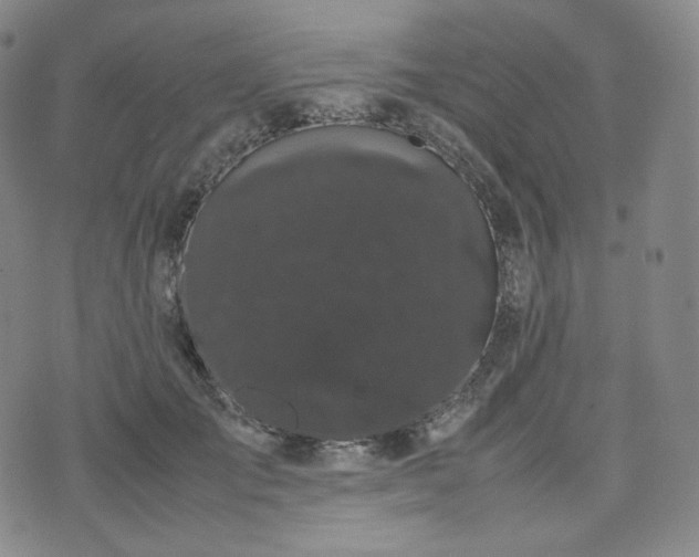 X0000071920701200607141335