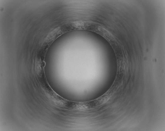 X0000071920702200607141335